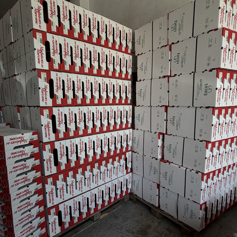 Cajas de carton
